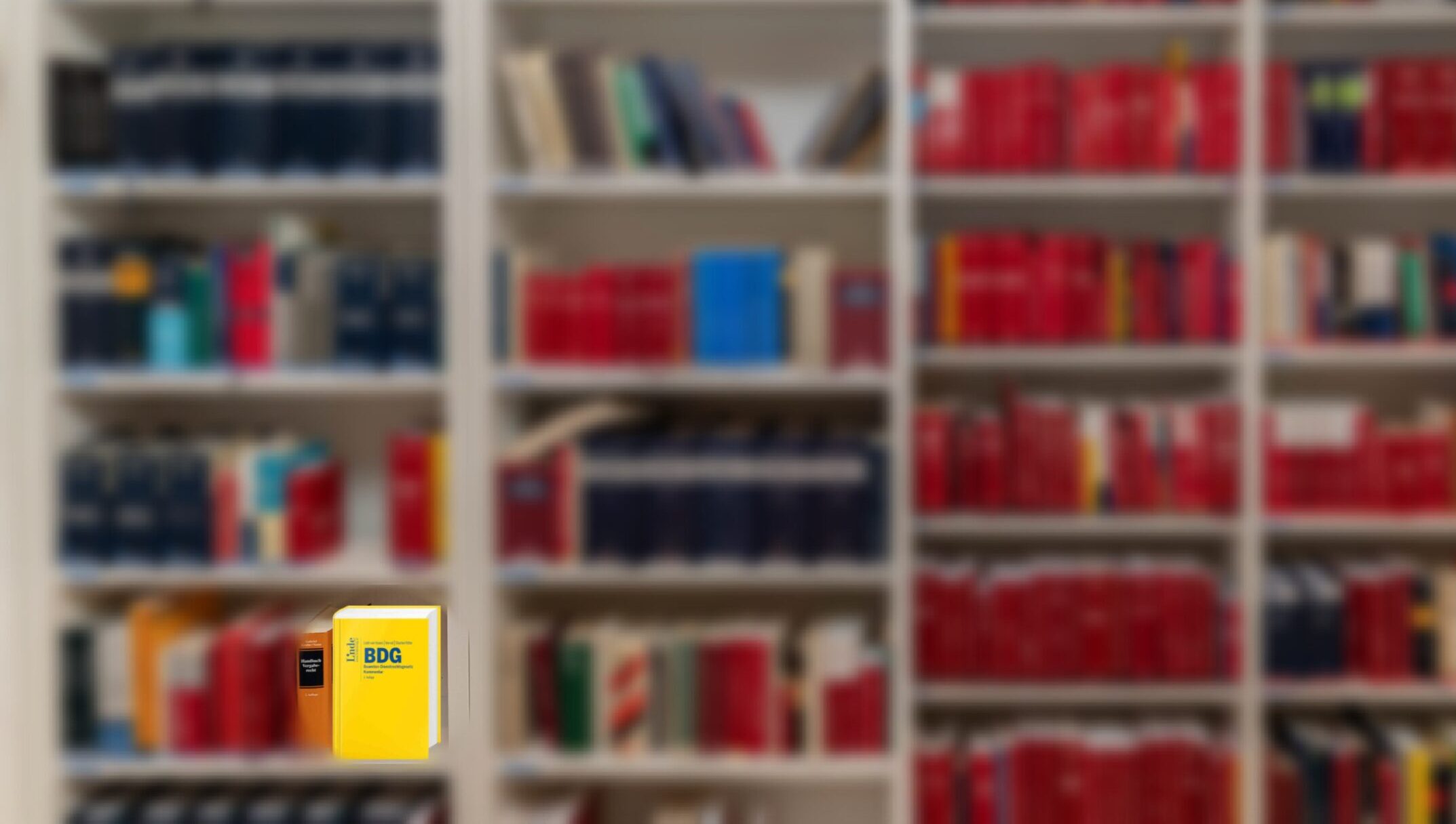 Regal voll mit Büchern, darunter das BDG