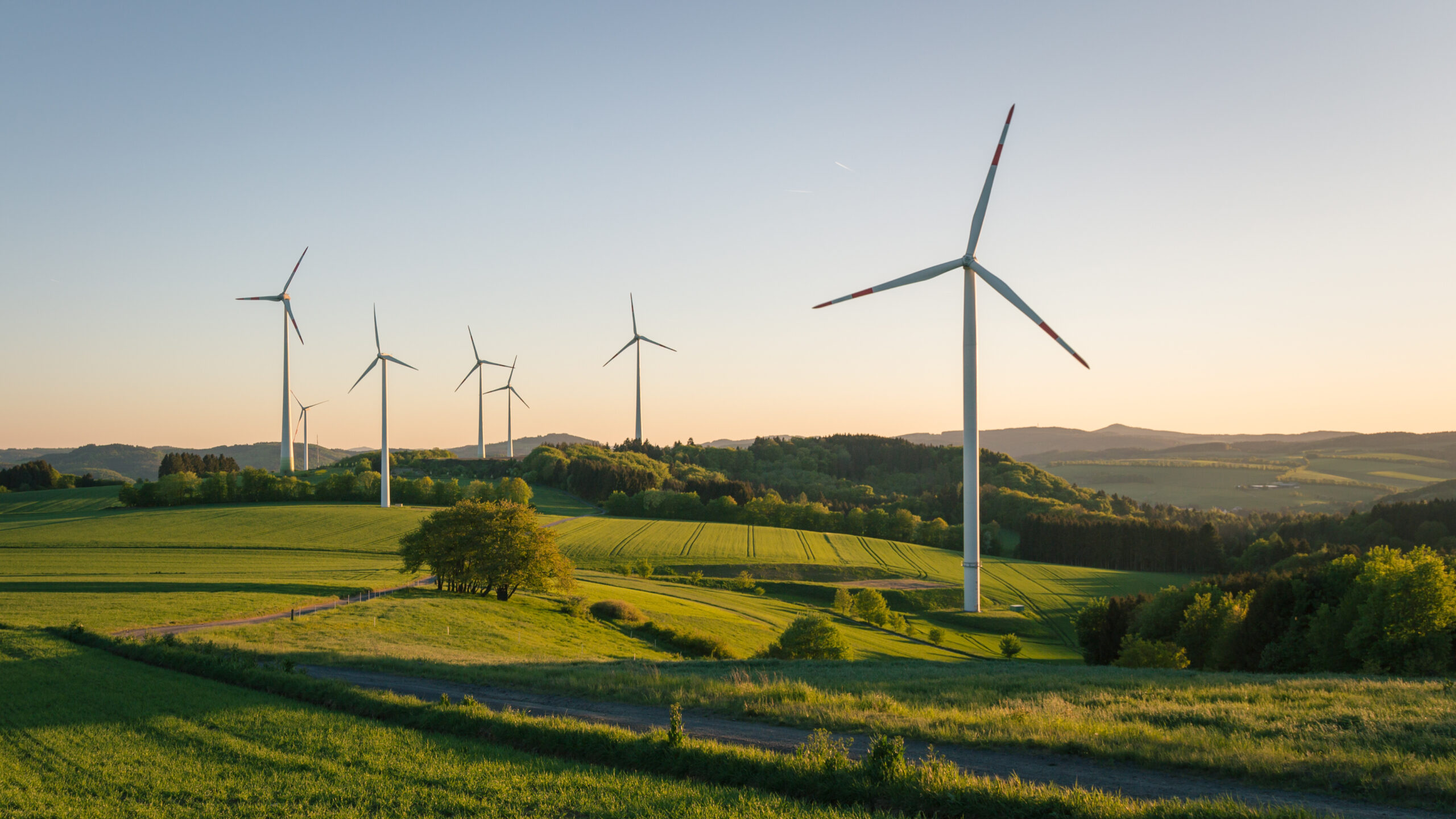 Symbolbild Energierecht (Windräder) Symbolbild Energierecht (Windräder)